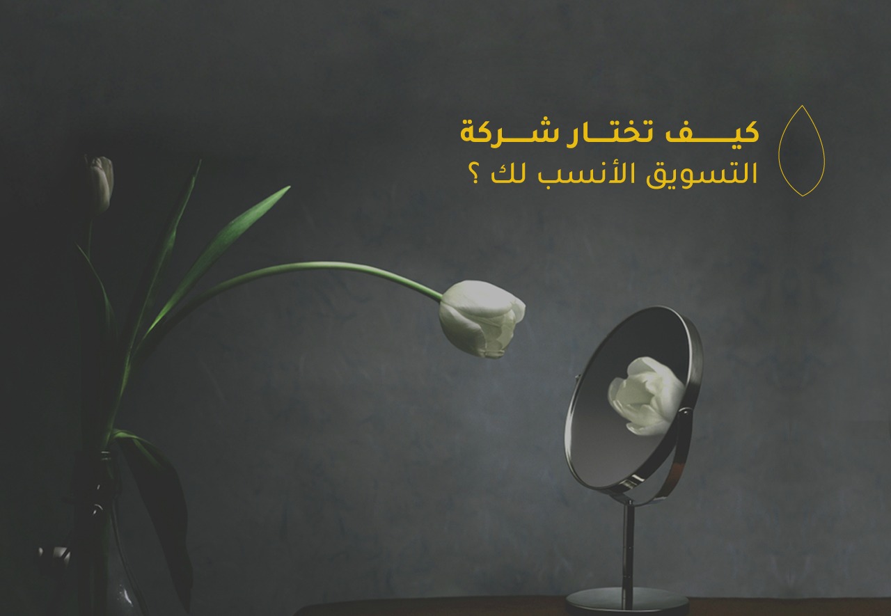 كيف تختار شركة التسويق الأنسب لك ؟